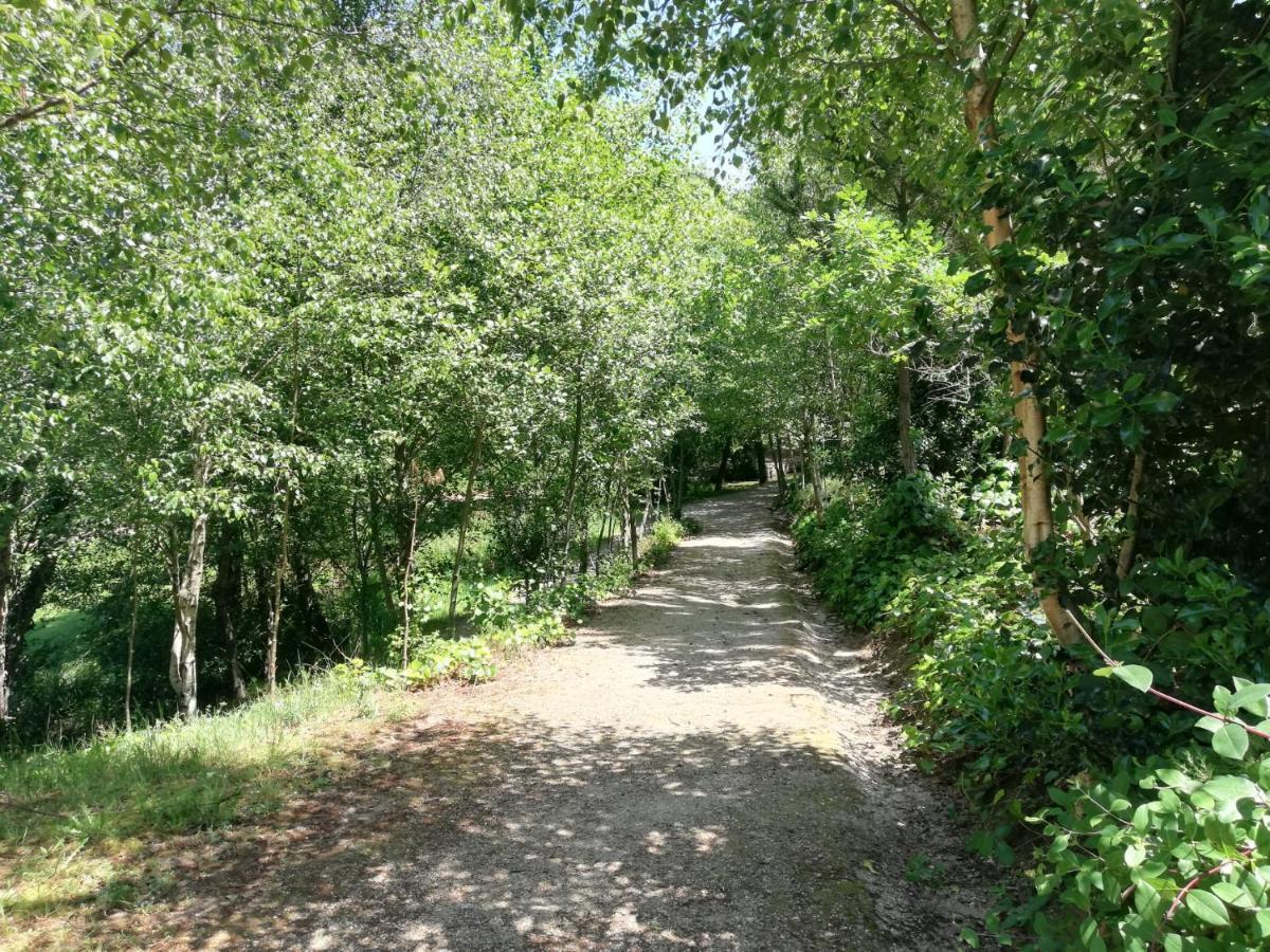 Albergue Camino Real Сигуейро Екстериор снимка